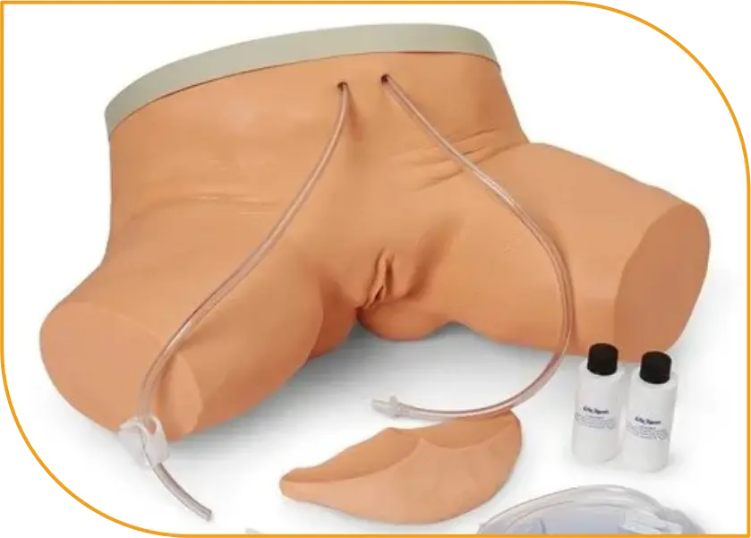 Female Urinary Catheterization