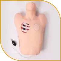 Pleural Tap